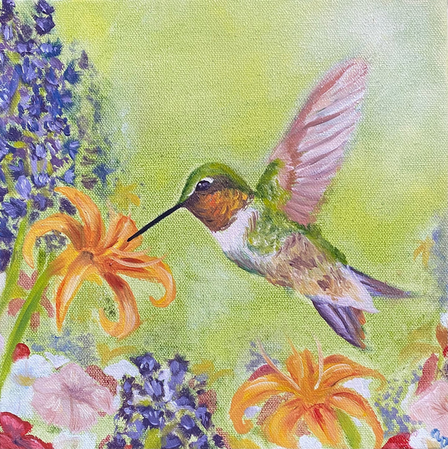 Portrait of a Hummingbird