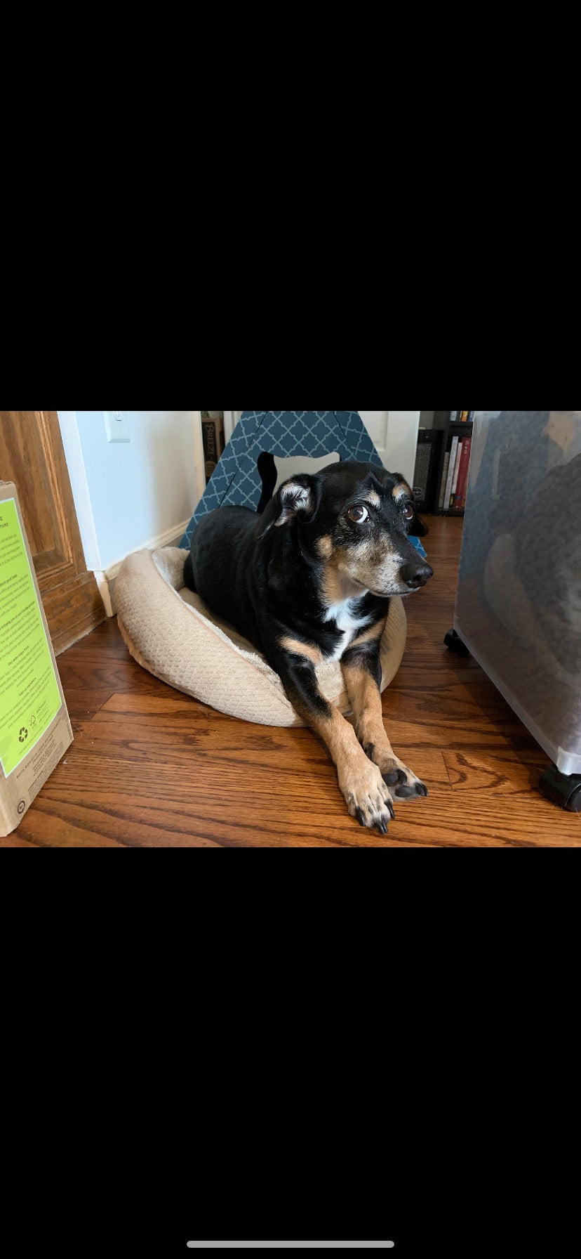 Aldo