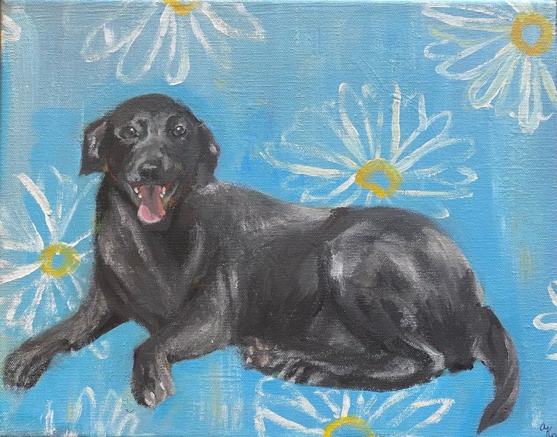 Pet Portraits