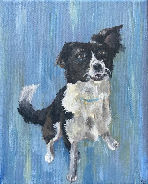 Pet Portraits