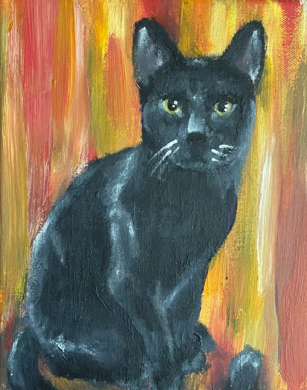 Pet Portraits